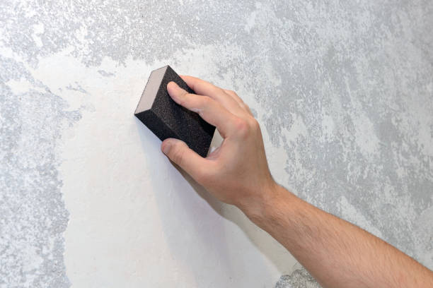Best HVAC Mold Inspection and Cleaning  in Acres Green, CO