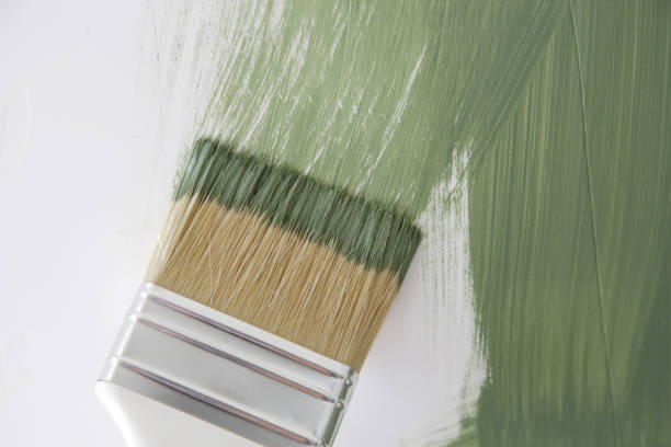 Best Basement Mold Removal  in Acres Green, CO