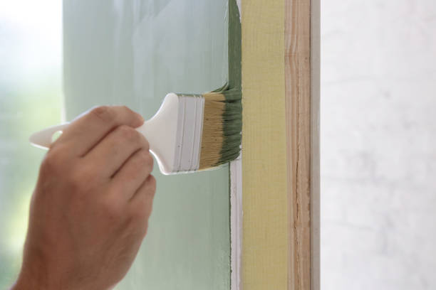 Best Black Mold Removal  in Acres Green, CO