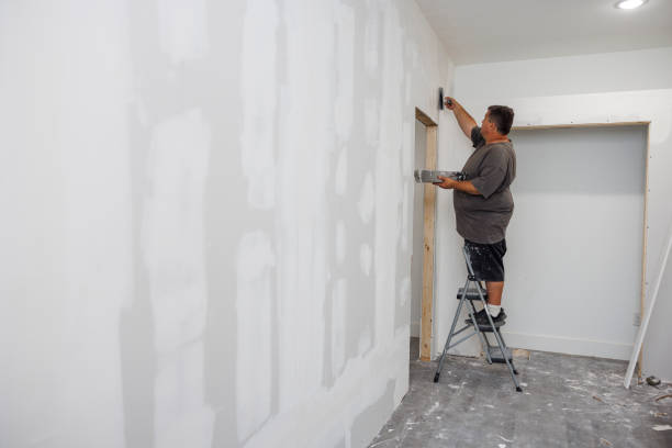 Reliable Acres Green, CO Mold Removal Solutions